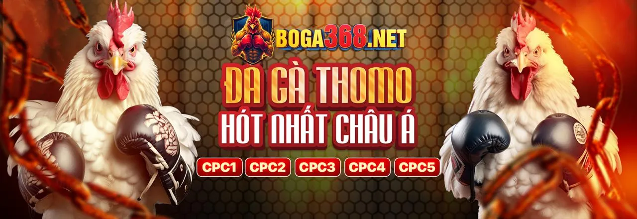 Hướng dẫn cá cược an toàn và hiệu quả tại nc88